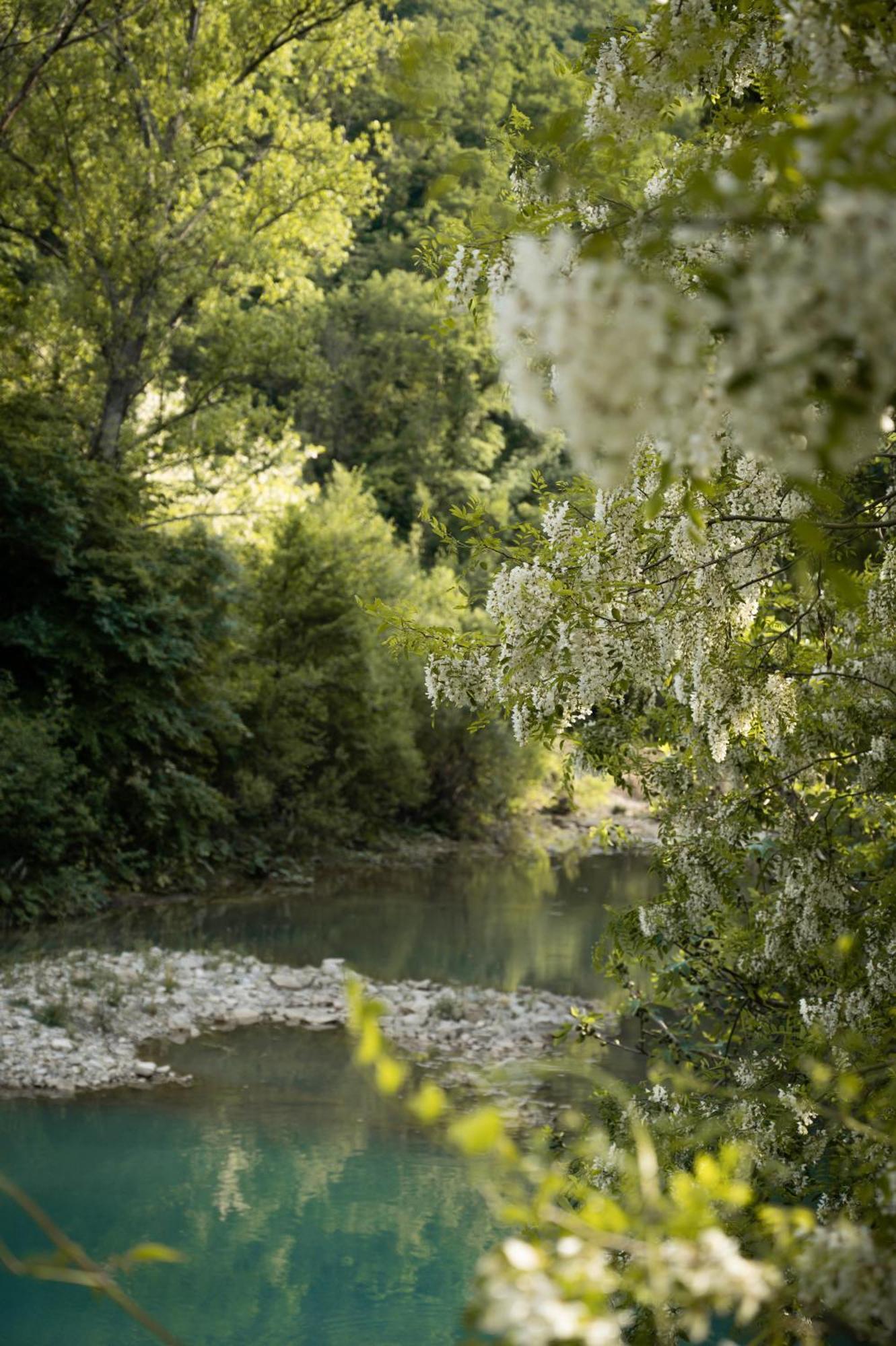 Glamping Dragonja River Smarje  Exterior photo